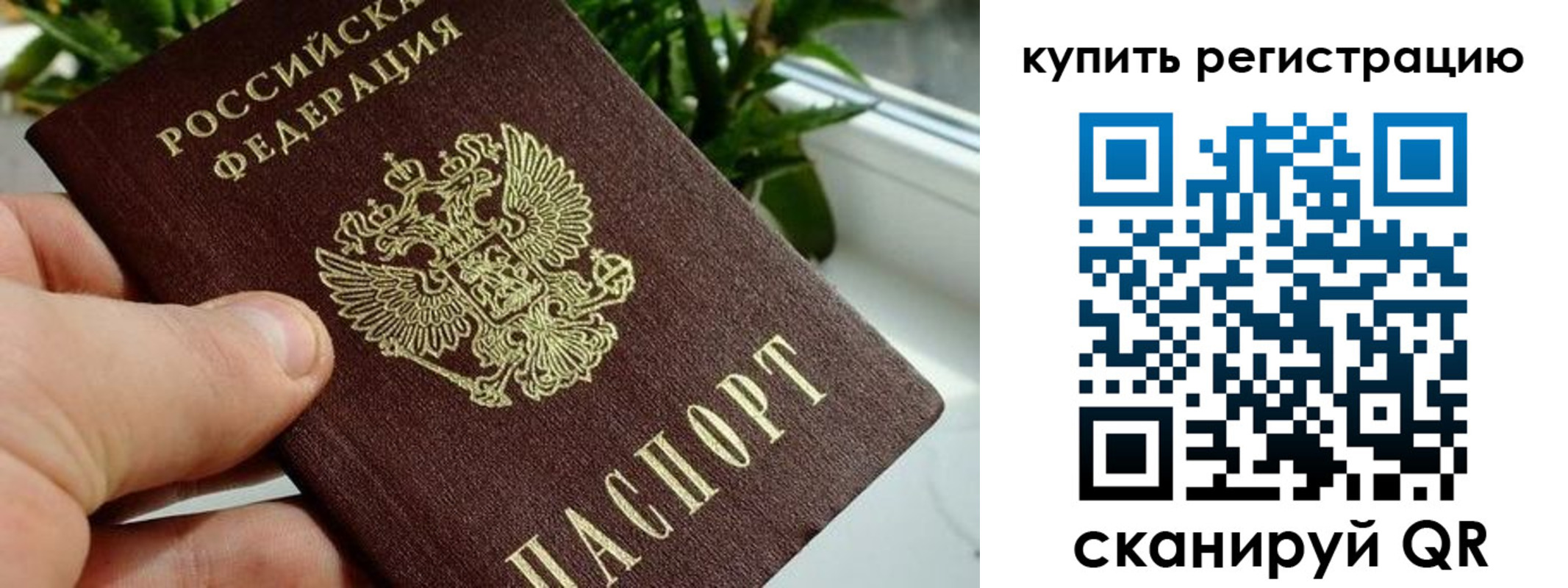 прописка гарантия в Петрозаводске